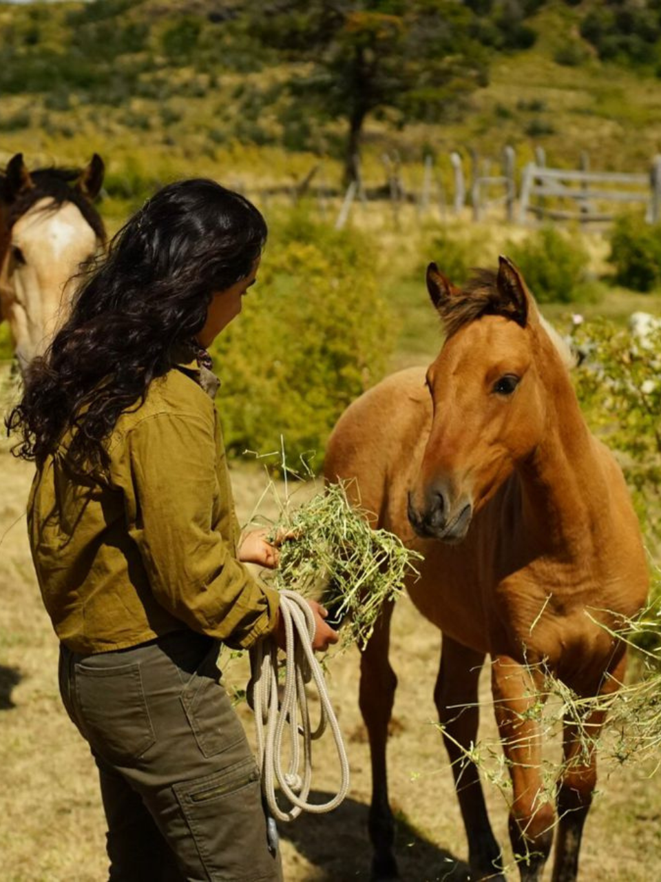 Diseño sin título (4)